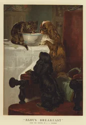 Petit-déjeuner de bébé